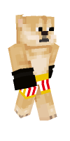 Skin preview