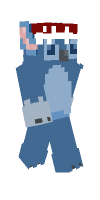 Skin preview