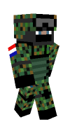 Skin preview