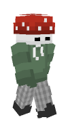 Skin preview