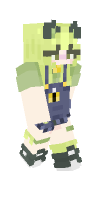 Skin preview