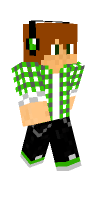 Skin preview