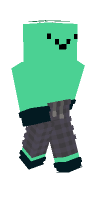 Skin preview