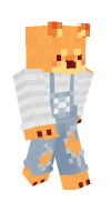 Skin preview