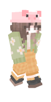 Skin preview