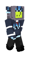 Skin preview