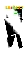 Skin preview