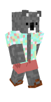 Skin preview