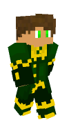 Skin preview