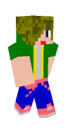 Skin preview
