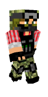 Skin preview