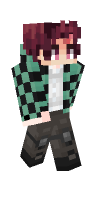 Skin preview