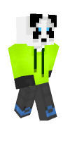 Skin preview