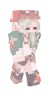 Skin preview