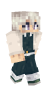 Skin preview