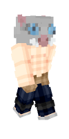 Skin preview