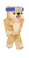 Skin preview