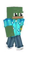 Skin preview