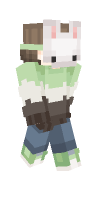 Skin preview