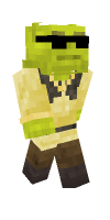 Skin preview
