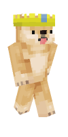 Skin preview