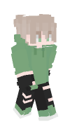 Skin preview
