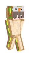 Skin preview