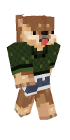 Skin preview