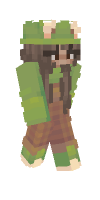 Skin preview