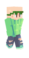 Skin preview