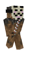 Skin preview