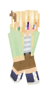 Skin preview