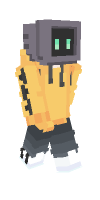 Skin preview