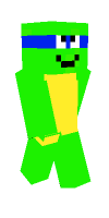 Skin preview