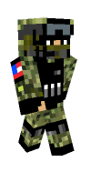 Skin preview