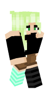 Skin preview