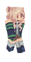 Skin preview