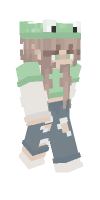 Skin preview