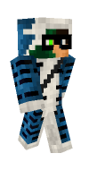 Skin preview