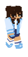 Skin preview