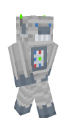 Skin preview