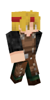 Skin preview