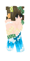 Skin preview