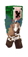 Skin preview