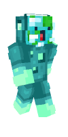 Skin preview