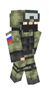 Skin preview