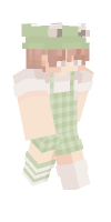 Skin preview