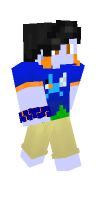 Skin preview
