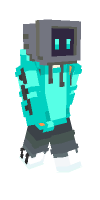 Skin preview