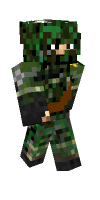 Skin preview